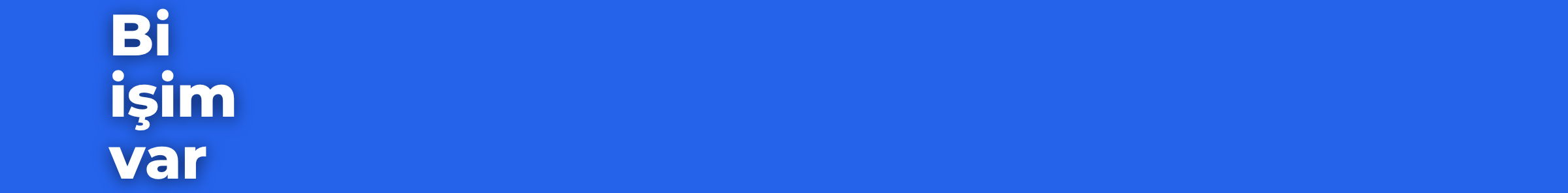 Bi İşim Var